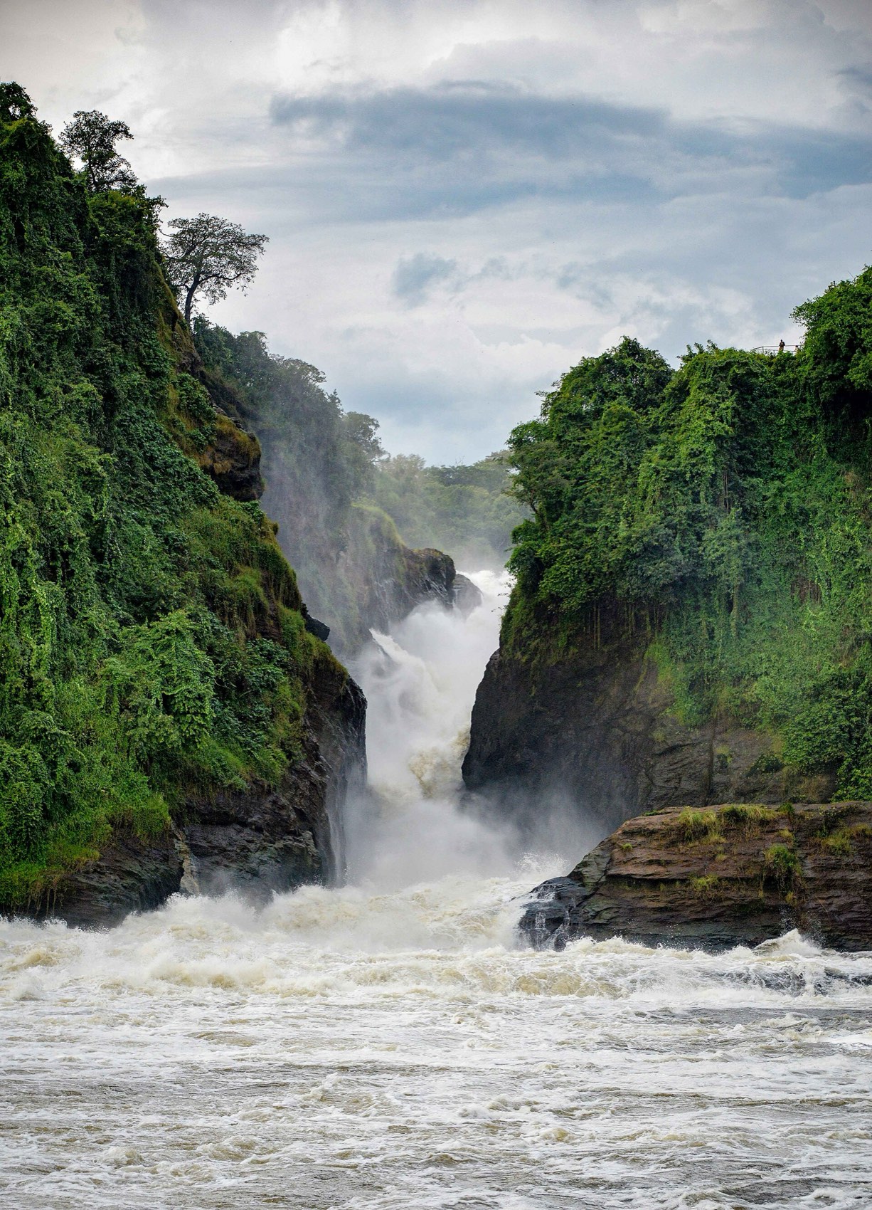 The Nile forced through a narrow gorge at Murchison Falls